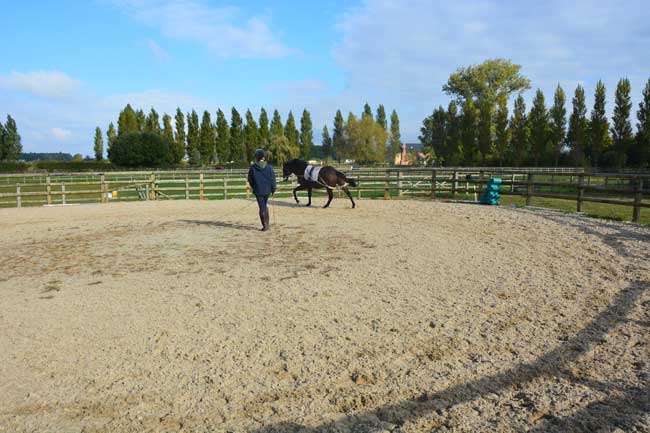 Lunge Ring